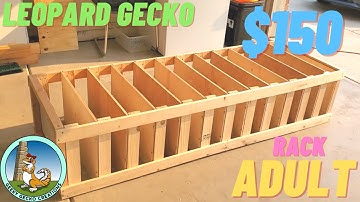 How to build a LEOPARD gecko RACK | $150 | ADULT | (2021)