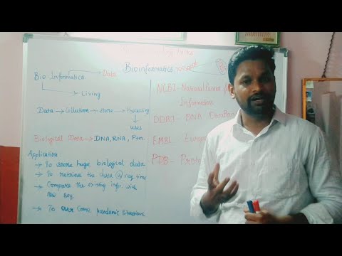 Intro to bioinformatics#bioinformatics #biology #fundamental #computationalbiology #researchers