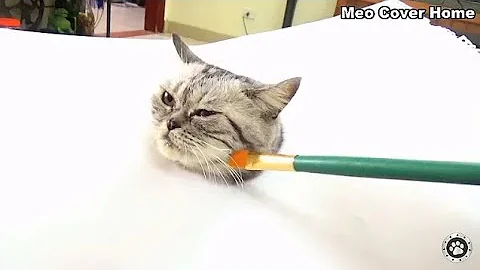 Video 9721811: cute cat drawing, cats catch, funny cat