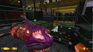 Black Mesa Source: Hilarious hivehand animation [HD]
