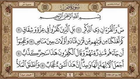 سورة ص، مكتوبة، حسن صالح، بدون اعلانات.