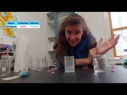 Freshwater vs Saltwater: What floats?