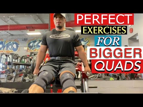 PERFECT EXERCISE FOR BIGGER QUADS - YouTube