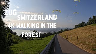 Zugerberg Descent: 40 Minutes Through Forest Trails & Pure Swiss Nature 🌄🌲#zugerberg #zug #travel