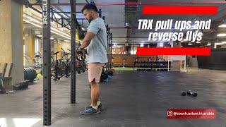 TRX pull ups and reverse flys