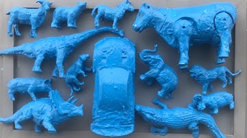 Tên và rửa sạch các con vật, voi , hươu, khỉ đột, lạc đà, sư tử, hươu cao cổ, linh dương, gấu, bò