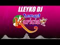 Mix sensual karicia  antiguas de oro   cumbia sanjuanera  lleyko dj