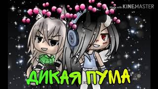 ~Клип~Дикая пума~|•Minsuko•life•|Gacha life|