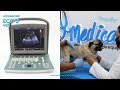 Ultrasonido Veterinario ECO5 CHISON