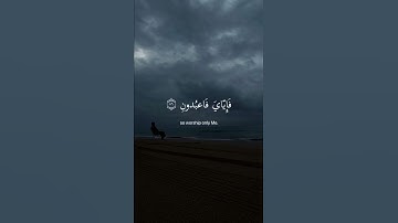 قرآن كريم | سورة العنكبوت _ الآية 56 القارئ عبدالرحمن مسعد #