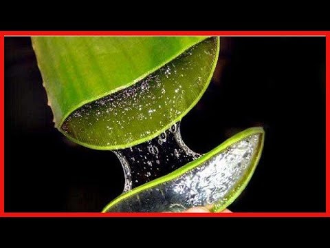 Vidéo: Comment utiliser l'aloe vera pour traiter la constipation