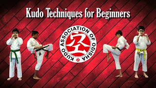 Kudo Techniques for Beginners