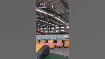 Loop cross belt sorting system