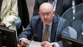 Небензя в ООН - Запад не может смирится с Победой Сирии