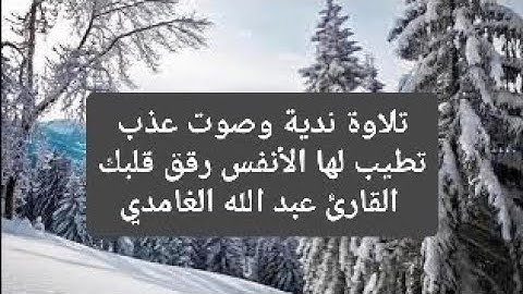 تلاوة ندية وصوت عذب تطيب لها الأنفس رقق قلبك القارئ عبد الله الغامدي