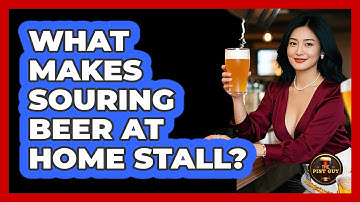 What Makes Souring Beer At Home Stall? - The Pint Guy