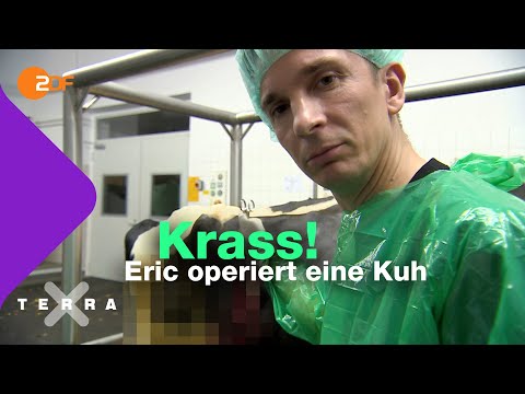 Video: Was ist ein verschobener Labmagen?