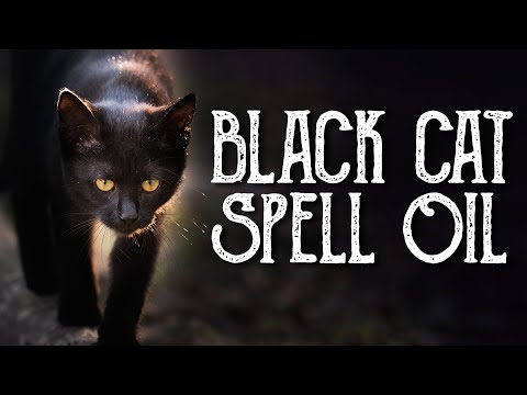 Black Cat Oil Recipe - Good Luck Spell Oil, Break Hexes & Curses - Witchcraft - Magical Crafting