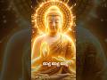 The Eternal Wisdom of Lord Buddha 🙏✨#buddha #buddhism #srilanka