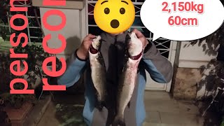 Προσωπικό ρεκόρ κέφαλου τέρας 2,150kg 60cm με δόλωμα ζυμάρι