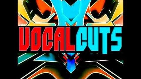 GST-FLPH Vox-Vocal-Cuts-1, FunctionLoops, G-Stomper Beat Studio for Android