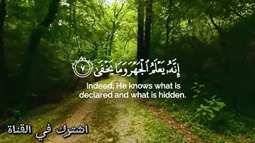 سورة الاعلى كاملة بصوت القارئ احمد النفيس