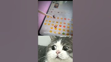 Funny meme videos 🤣🤣 I part 44 #shorts #funny #meme #fails