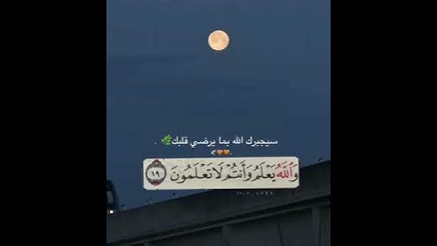 ارح سمعك🖇️❤️اجمل حالات واتس اب قرآن كريم💛راحة نفسية