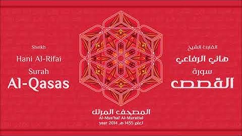سورة القصص للقارئ الشيخ هاني الرفاعي