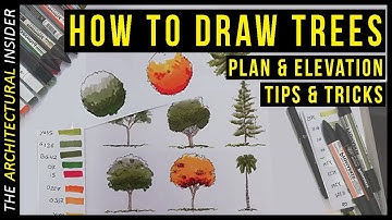 Tips For Drawing Trees in Sketches and Architecture Drawings