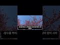 평소의 몰랐던 바세린의 이색 활용법 15가지
