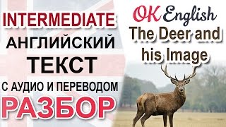 The Deer and his Image - Английский текст, уровень intermediate | OK English