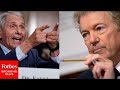 Sparks Fly When Rand Paul Tells Fauci Point Blank, 'I Think It's Time That You Resign'