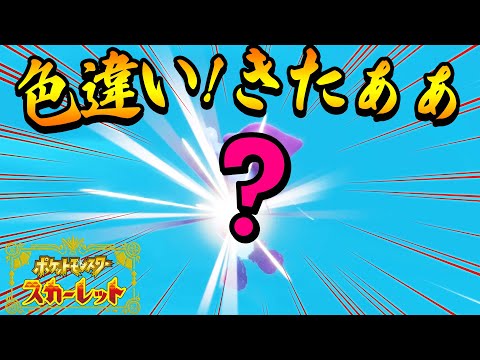 【ポケモンSV】色違いきたぞー！旅パ入れ替えで、初めてのポケモンでゴースト・ジムリーダー「ライム」戦にいくぞ【ポケットモンスタースカーレット実況 #18】