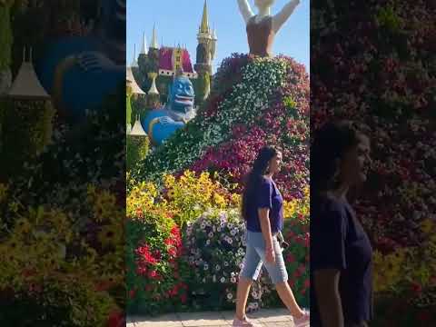 Miracle Garden Dubai || The world’s largest natural flower garden | #love #travel #beautiful #song