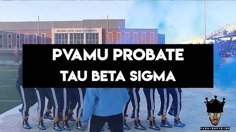 PVAMU 2019 Probate Video Tau Beta Sigma