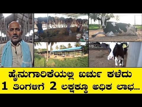 ಹೈನುಗಾರಿಕೆಯಲ್ಲಿ 24 ವರ್ಷದ ಅನುಭವ ಯಶಸ್ವಿ ರೈತನ ಮಾತು I Dairy Farming I Krushi Suddi