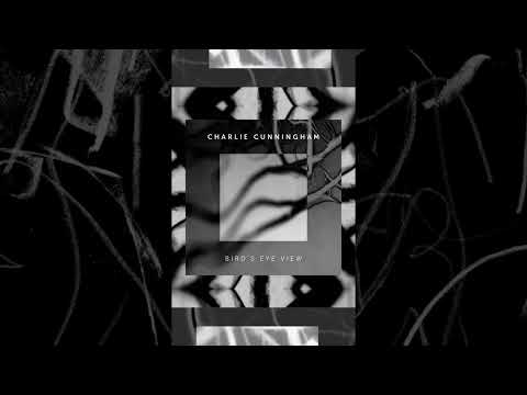 Charlie Cunningham - Bird's Eye View (Official Audio)
