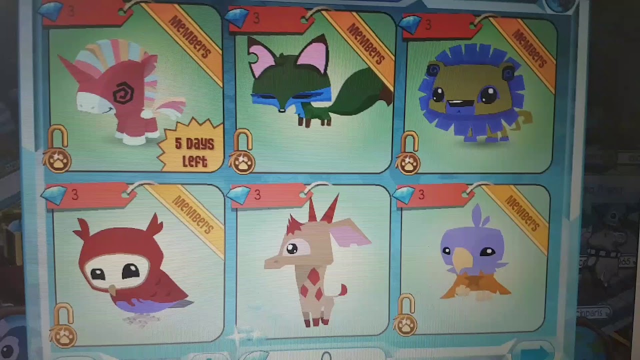 Adopting a new pet in animal jam YouTube