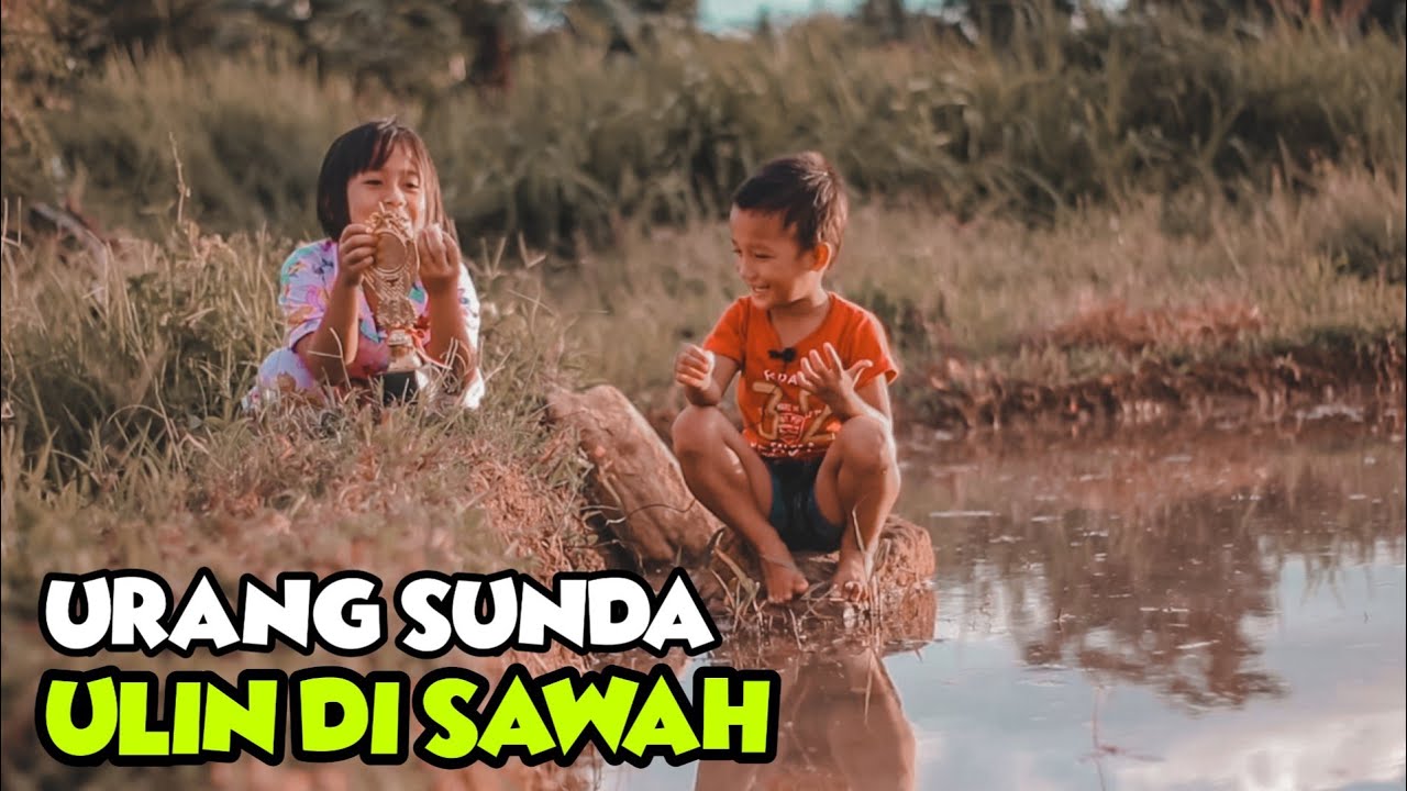 Anak Kecil Lucu Ngomong Sunda, Ulin Di Sawah - YouTube