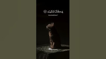 "تلاوة خاشعة | ياسر الدوسري - قل لمن الأرض ومن فيها"
