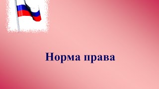 видео Институт: понятие, признаки, виды, регулирование