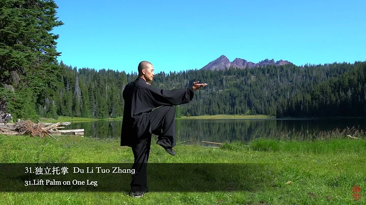 42 Tai Chi form back view 42
