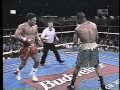 Roy Jones Junior vs Vinny Pazienza - IBF Super Middleweight Title Fight