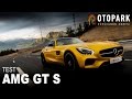 Mercedes AMG GT S | TEST