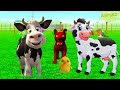 Ei pollito pió 3d Trakter ।EI pollito/granja de la vaca Rimix pió