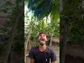 Outdoorfood SIMPLE and USEFUL NEW IDEA UNLOCKED In Forest নিম্বু and আম eating 😋