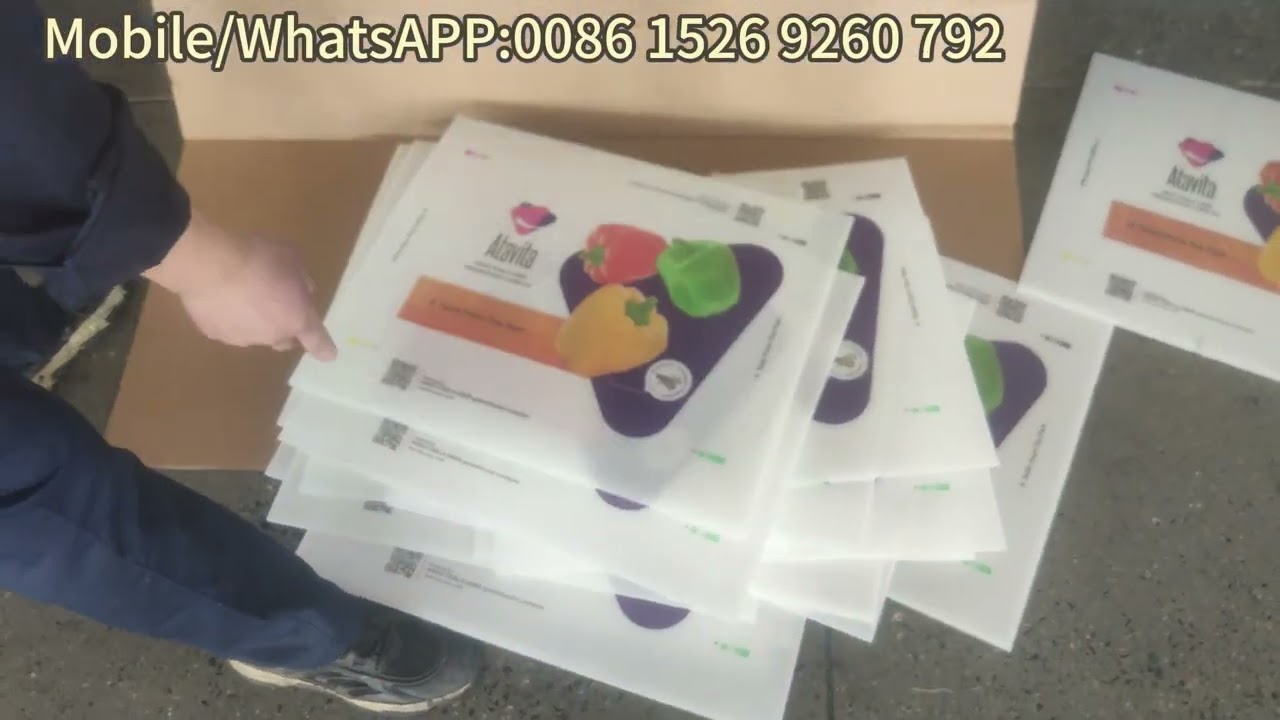 PP corrugated hollow sheet surface printing machine