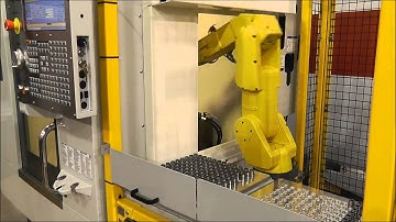 RoboFlex VP Package & Haas DT 1