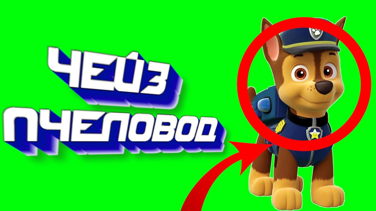 Песня Клип про ГОНЩИКА | ЩЕНЯЧИЙ ПАТРУЛЬ ПЧЕЛОВОД КАДИЛЛАК ПАРОДИЯ ...